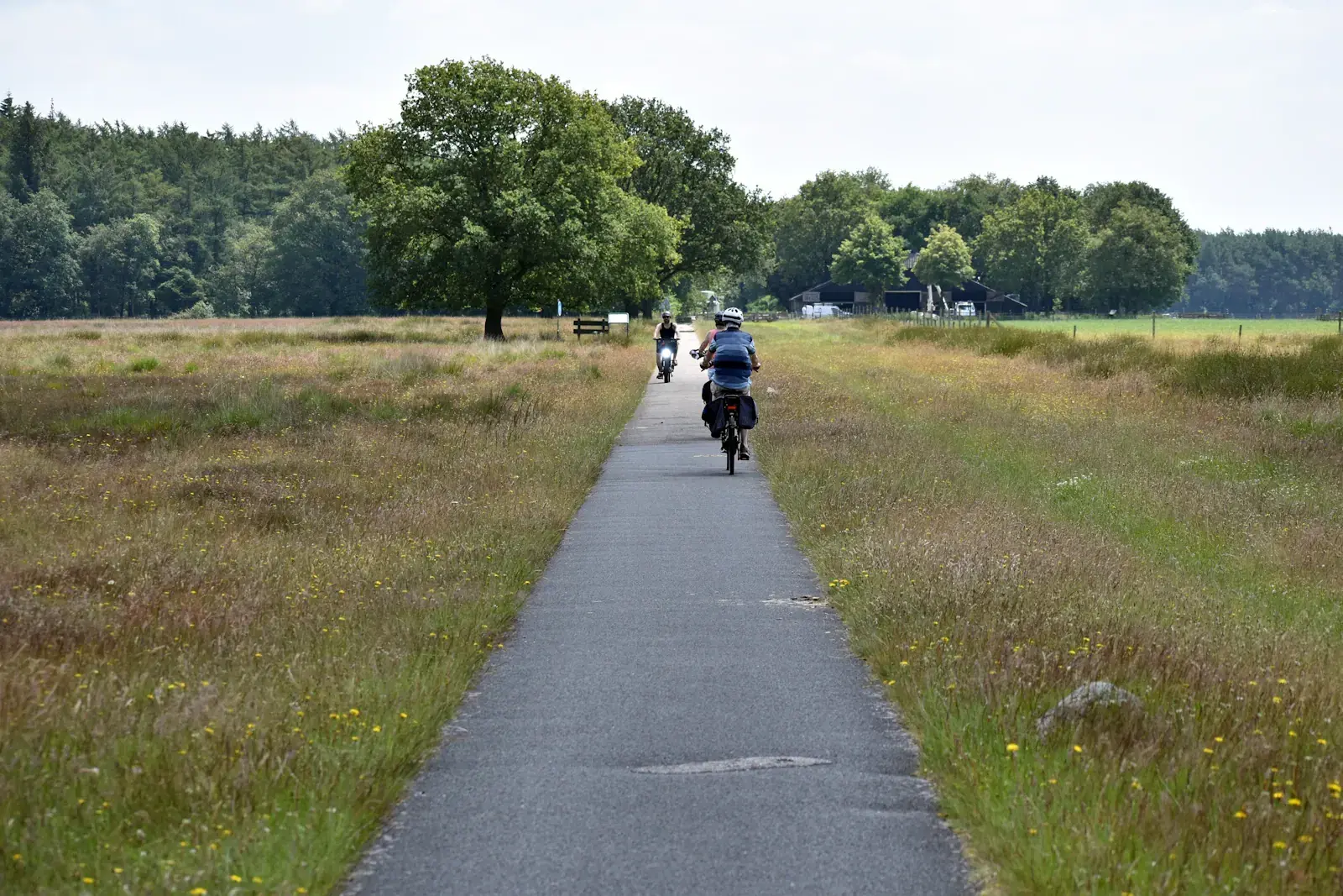 Fietsers op een verhard pad langs groene velden bij Hijken